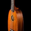 Ohana ukuleles pineapple shape mahogany soprano PK 10 front details