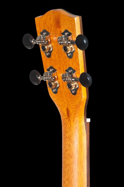 ohana all solid mahogany tenor ukulele with built in EQ TK 35CE headstock back