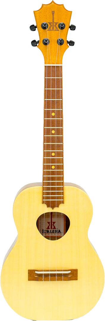 kto-10s koaloha ukulele