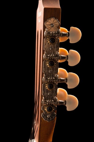 Ohana ukuleles spruce and mahogany 8 string tenor headstock details TK 70 8